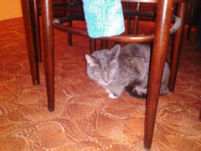Miky